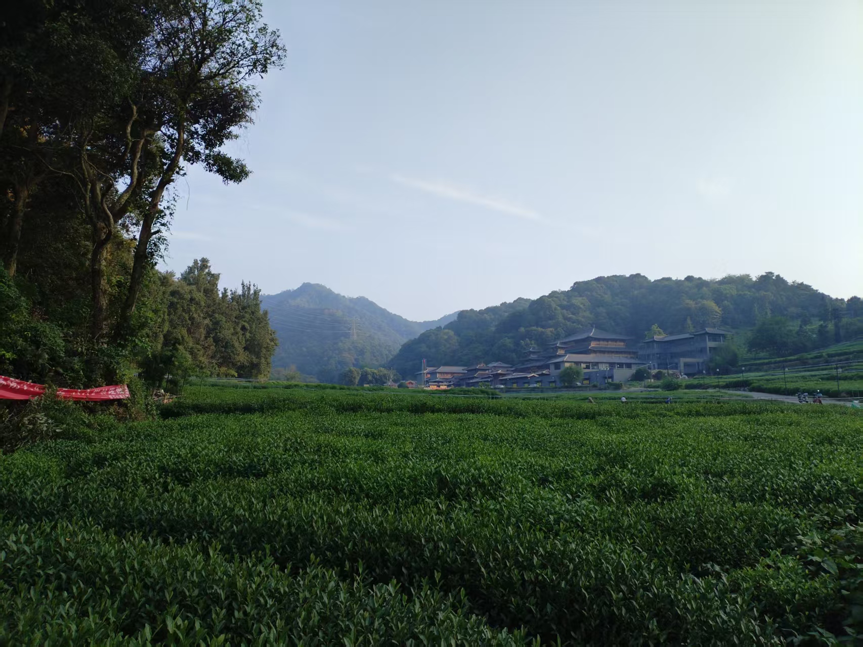 HZH3 Hash #290: Still Undead!