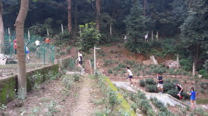 5ca The 2nd pack of runners gets lost --- due to poor trail setting of course
